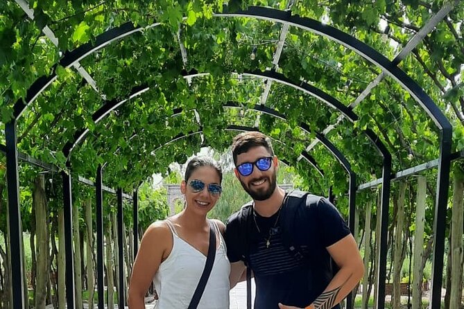 VINEYARDS, MOUNTAINS AND WINES. Choose your own tour. - Meeting your driver in Mendoza