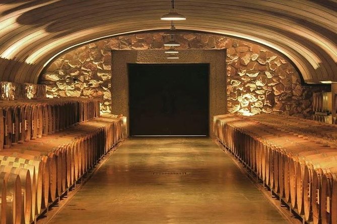 Vineyards with Wine Tasting in Mendoza - The essential details at a glance