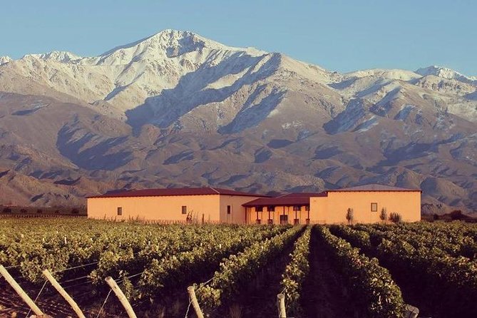Vineyards with Wine Tasting in Mendoza - What the winery selection can change