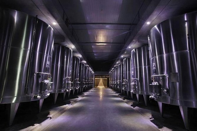 Vineyards with Wine Tasting in Mendoza - The olive oil stop is a useful surprise