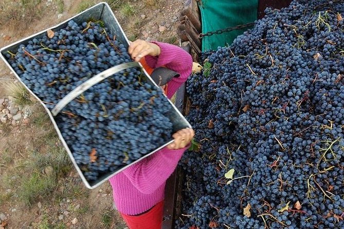 Vineyards with Wine Tasting in Mendoza - Leaving Mendoza for Luján de Cuyo