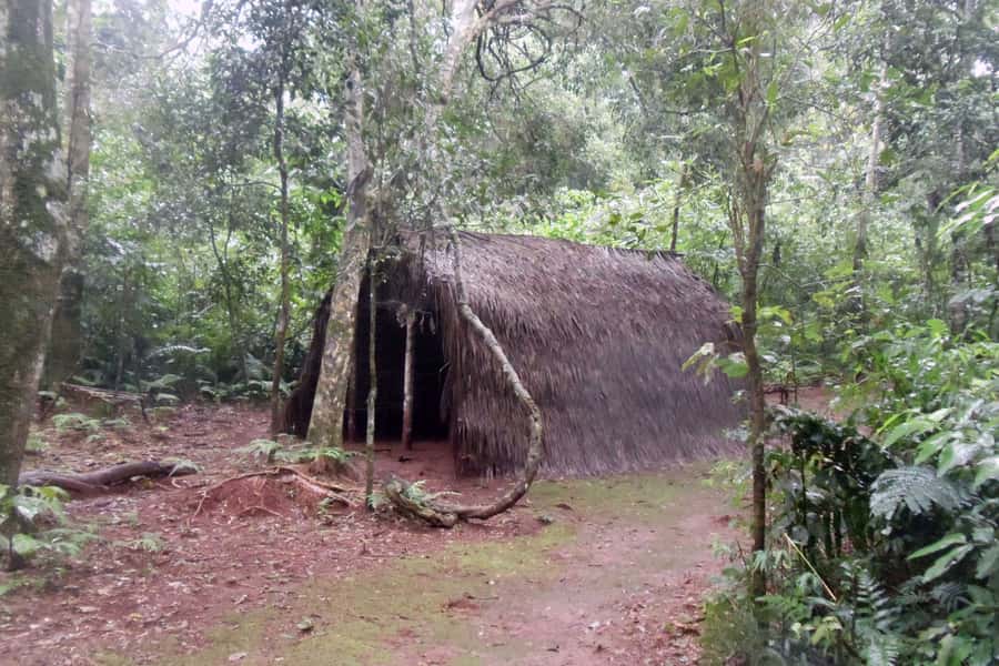 Visit Guarani village at Mborore Fort with brunch - Who Will Enjoy This Experience Most?