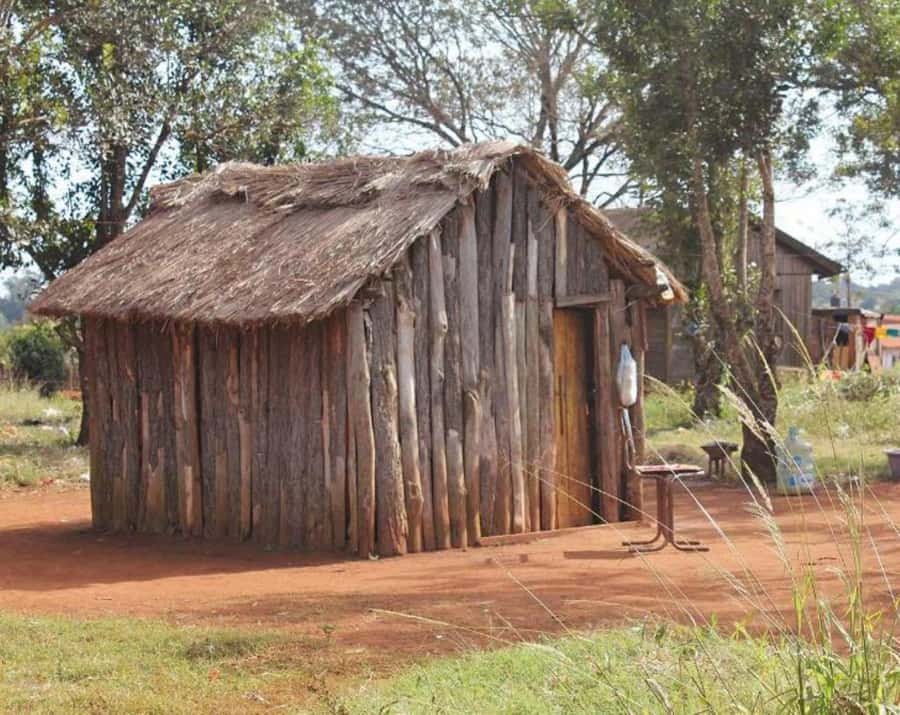 Visit Guarani village at Mborore Fort with brunch - Walking The Spirit Of Trees Trail