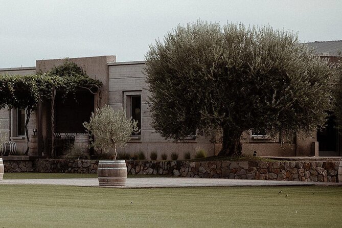 Visit Pulenta Estate Winery and Gourmet Lunch at Susana Balbo - Why this Mendoza pairing works