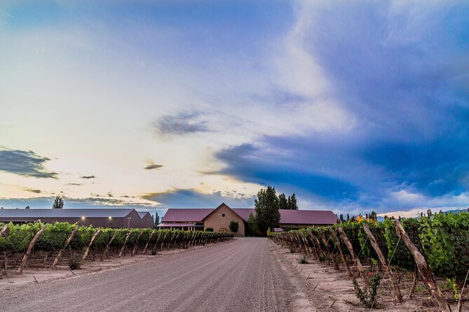 Visit Pulenta Estate Winery and Gourmet Lunch at Susana Balbo - What to notice during the Pulenta tasting