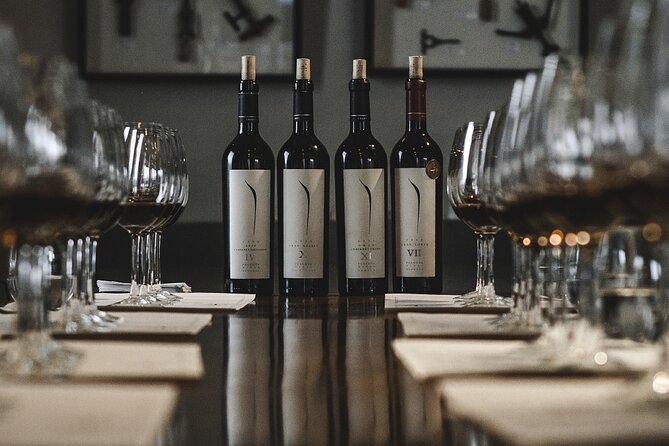 Visit Pulenta Estate Winery and Gourmet Lunch at Susana Balbo - Who should book this experience?