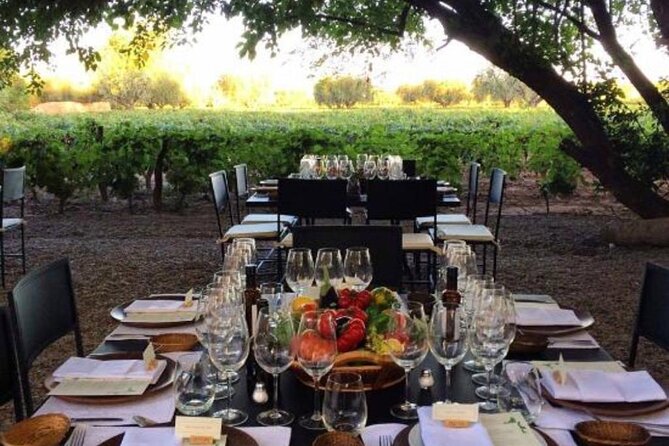 Visita Bodega Huarpe + Almuerzo Bodega Lagarde. Transfer privado - Two Mendoza wineries, one compact private outing