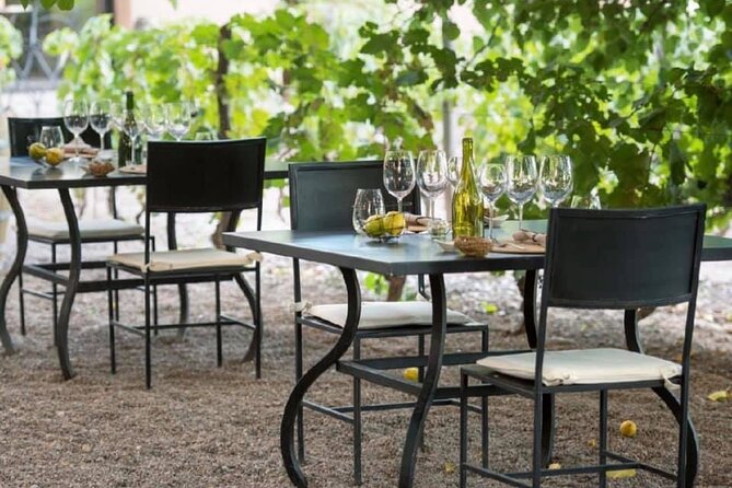 Visita Bodega Huarpe + Almuerzo Bodega Lagarde. Transfer privado - Who will get the most from this experience