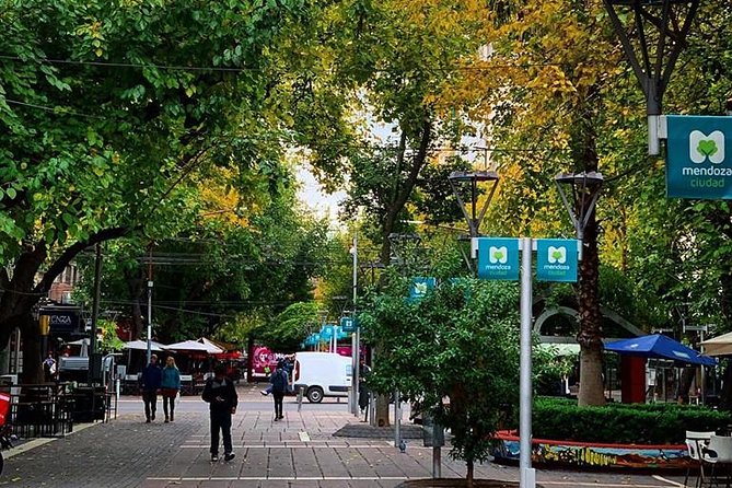 Walking City Tour - What This Mendoza Walk Actually Offers