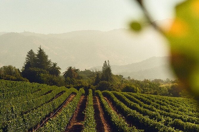 Wine Icons Tour in the Sparkling World of Chandon - Who will enjoy this Chandon visit most?