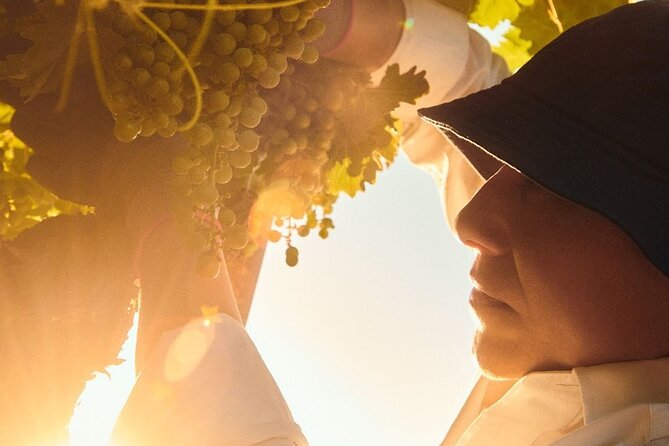 Wine Icons Tour in the Sparkling World of Chandon - Practical planning before you book