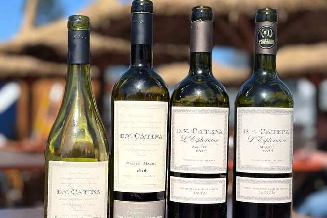 Wine & music experience by D.V. Catena con tabla de fiambres - Key points at a glance