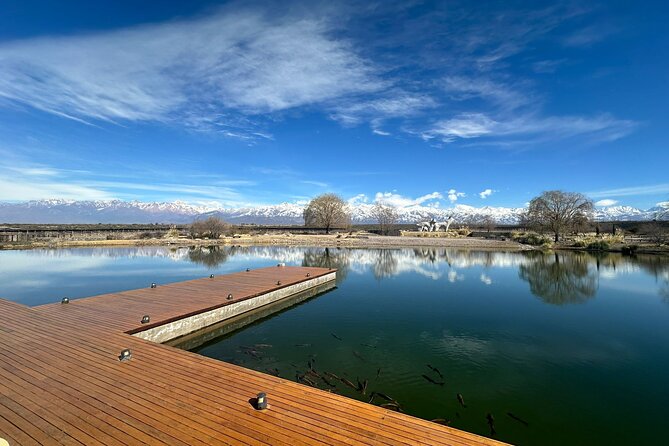 Wine Tour in Huentala Wines Departing from Ciudad Mendoza - Key points before you book
