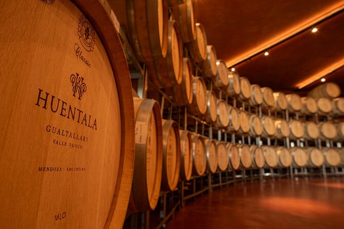 Wine Tour in Huentala Wines Departing from Ciudad Mendoza - What the $220 price really covers
