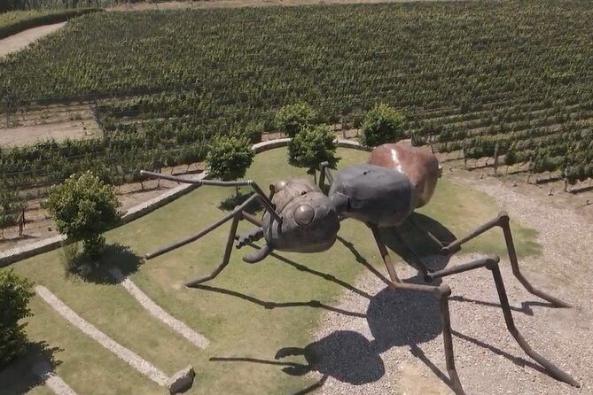 Wine Tour in Huentala Wines Departing from Ciudad Mendoza - Who will enjoy this day most