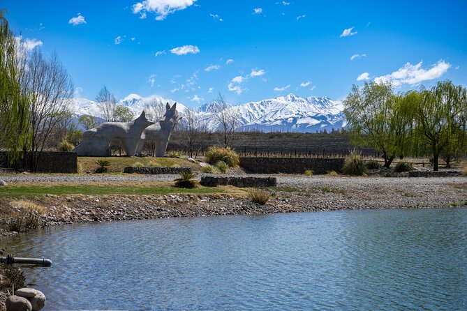 Wine Tour in Huentala Wines Departing from Ciudad Mendoza - My practical advice for a better day