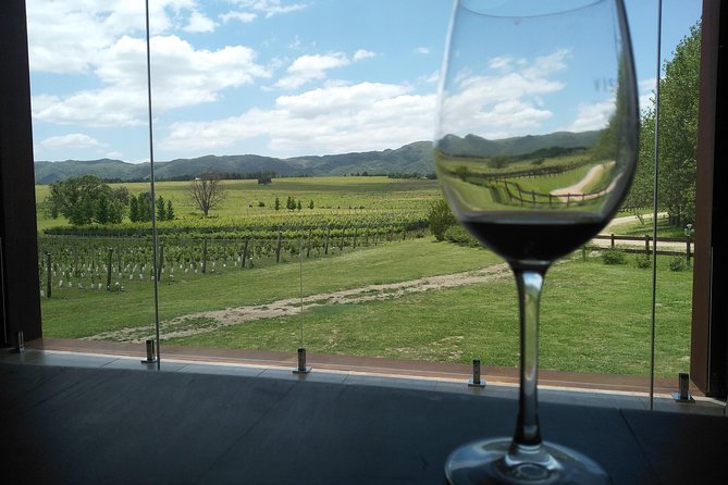 Wine Tour Privado a Calamuchita, Córdoba - Argentina - Arriving at the boutique winery and vineyard