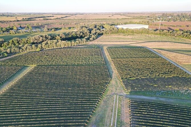 Wine Tour to Colonia Caroya, Cordoba - Half Day - Key points to know before booking