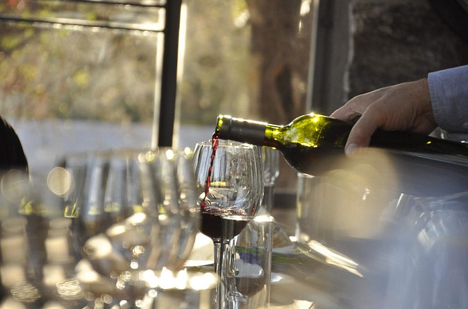Wine Tour to Colonia Caroya, Cordoba - Half Day - Who will enjoy this half-day outing