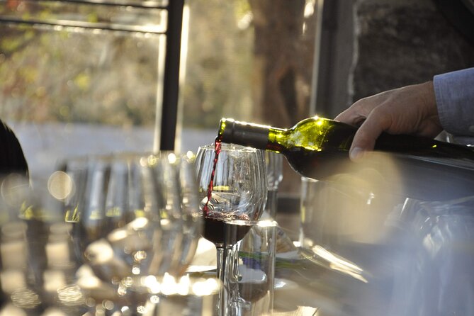 Wine Tour to Colonia Caroya, Cordoba - Half Day - Bodega la Caroyense: Córdoba’s first winery