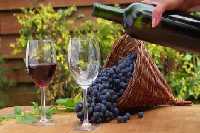 wine tours in wine country mendoza Argentina - Why three wineries make a better Mendoza day
