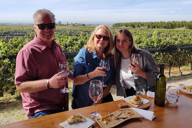 Wineries to Valle de Uco! Semi-private tours - Why Valle de Uco Works Best as a Full-Day Trip