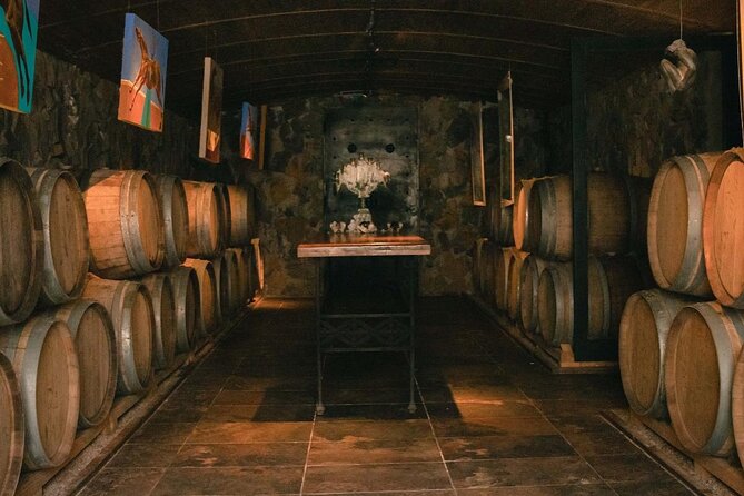 Winery El Enemy, Argentine Roast with Wine and Private Transport - Who should book this Mendoza wine day?