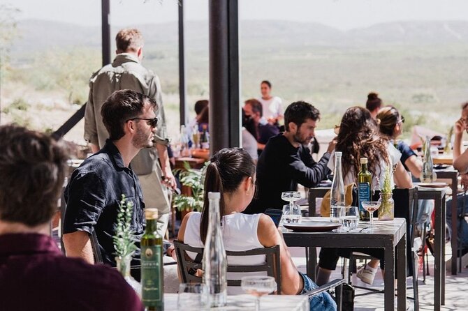 Winery Salentein + Gourmet Lunch in Ruda.Transfer included - What the price includes, and what it is really buying