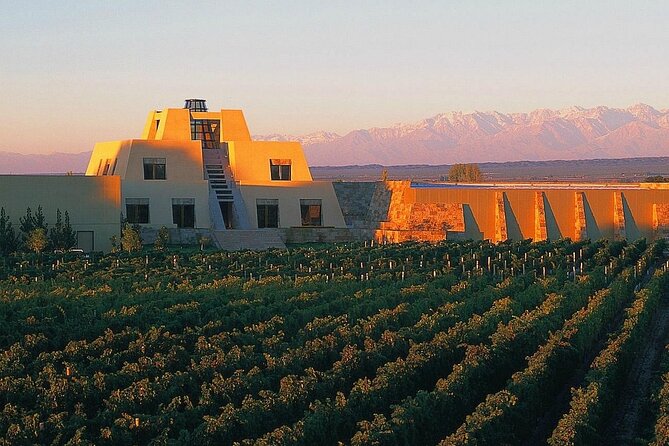 Winery The Enemy + Zapata Angelic Lunch. Private transportation - Angelica Cocina Maestra turns lunch into the main event