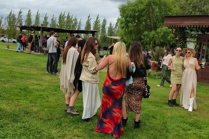 Winery Tour of Uco Valley - A multi-course lunch among the vines