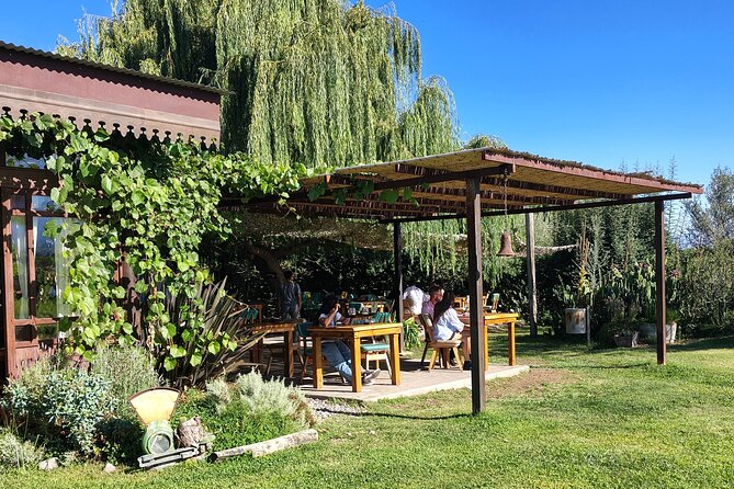 Winery Tour of Uco Valley - Timing, comfort, and who should book