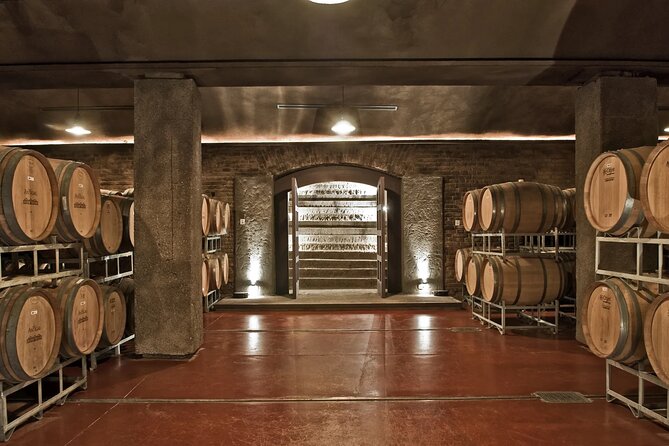 Winery Trapiche + Laur + Lunch in Tempus Alba. Private transfer - What the Private Transfer Adds