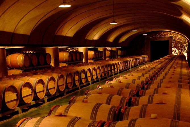 Winery Vistalba + Lunch Susana Balbo. Private transportation - Who will enjoy this outing most?