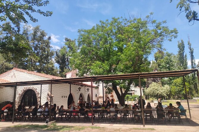 Zipline and Arborism without Lines for 1 Day on the Banks of the Mendoza River - Timing, weather, and the best way to plan your visit