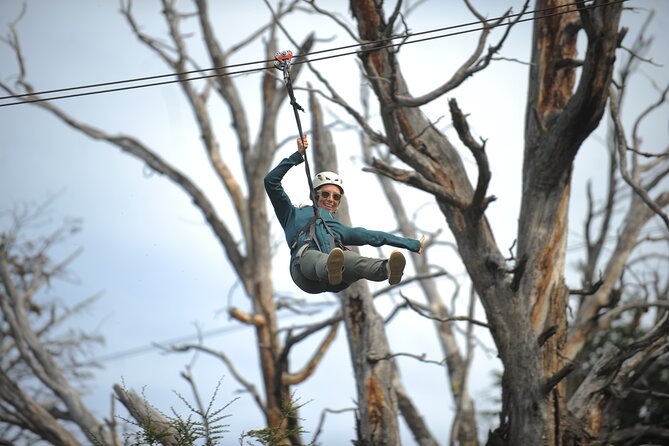 Zipline on Cerro Frías - Four 500-meter runs above a Patagonian canyon